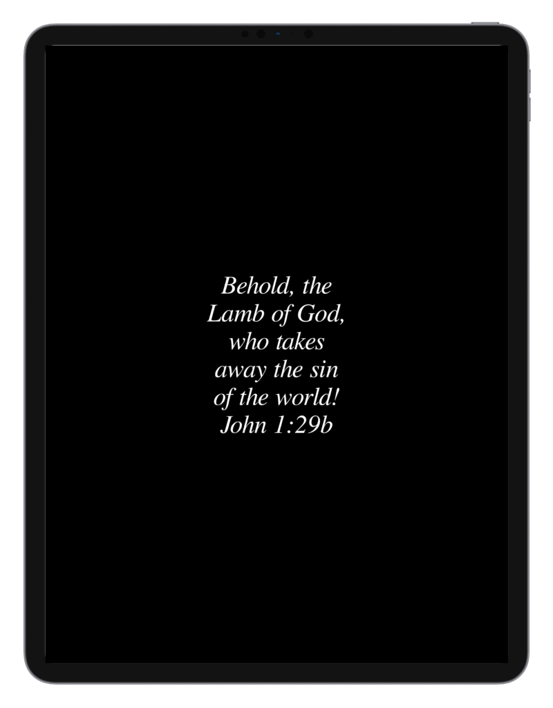 John-1-29b
