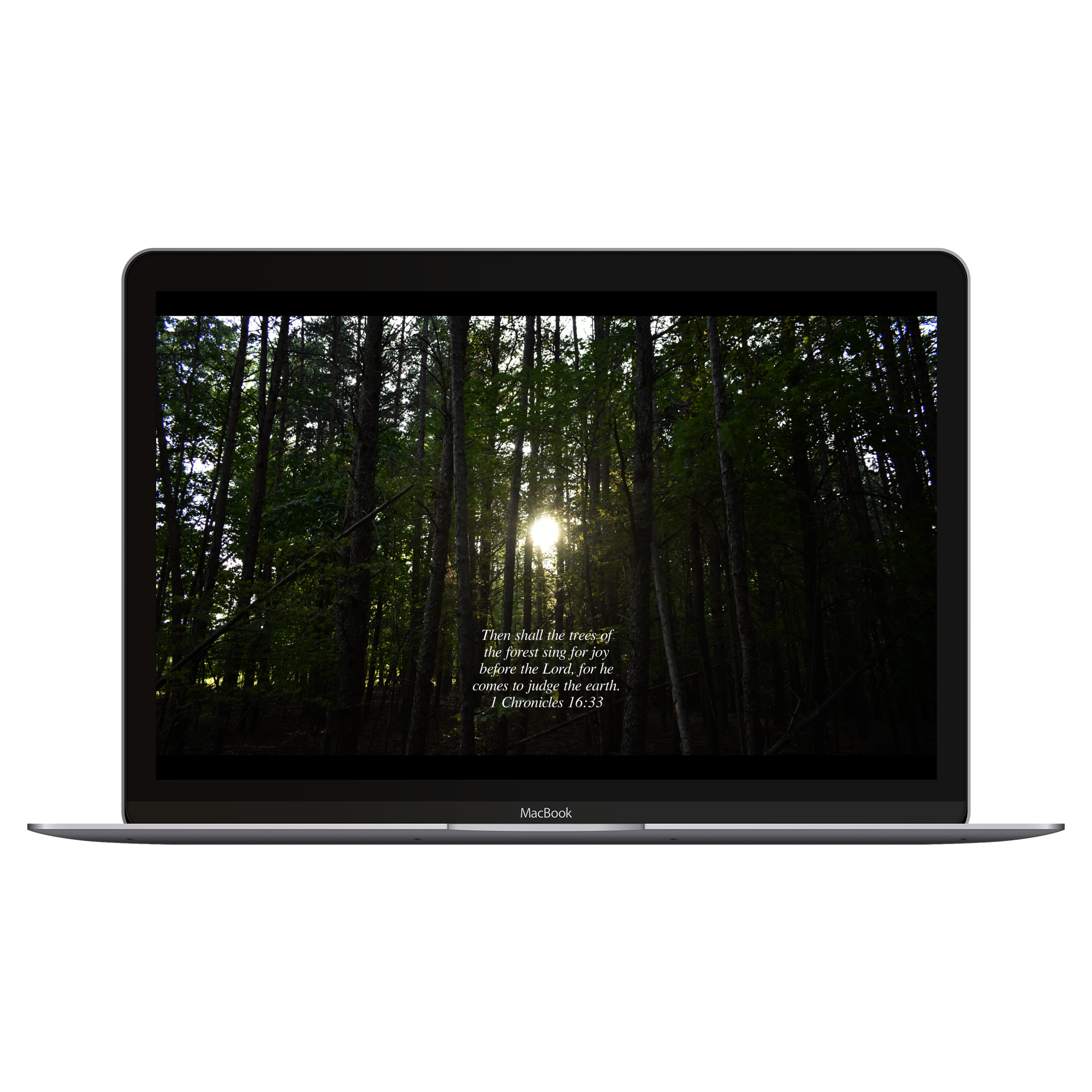 1 Chronicles 16:33 by Biblical Wallpapers 1 Chronicles 16:33 by Biblical Wallpapers