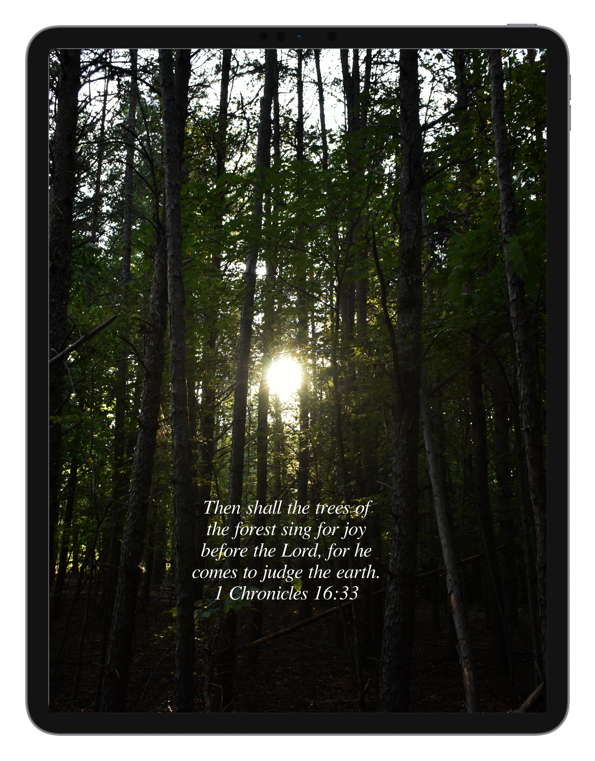 1 Chronicles 16:33 by Biblical Wallpapers 1 Chronicles 16:33 by Biblical Wallpapers