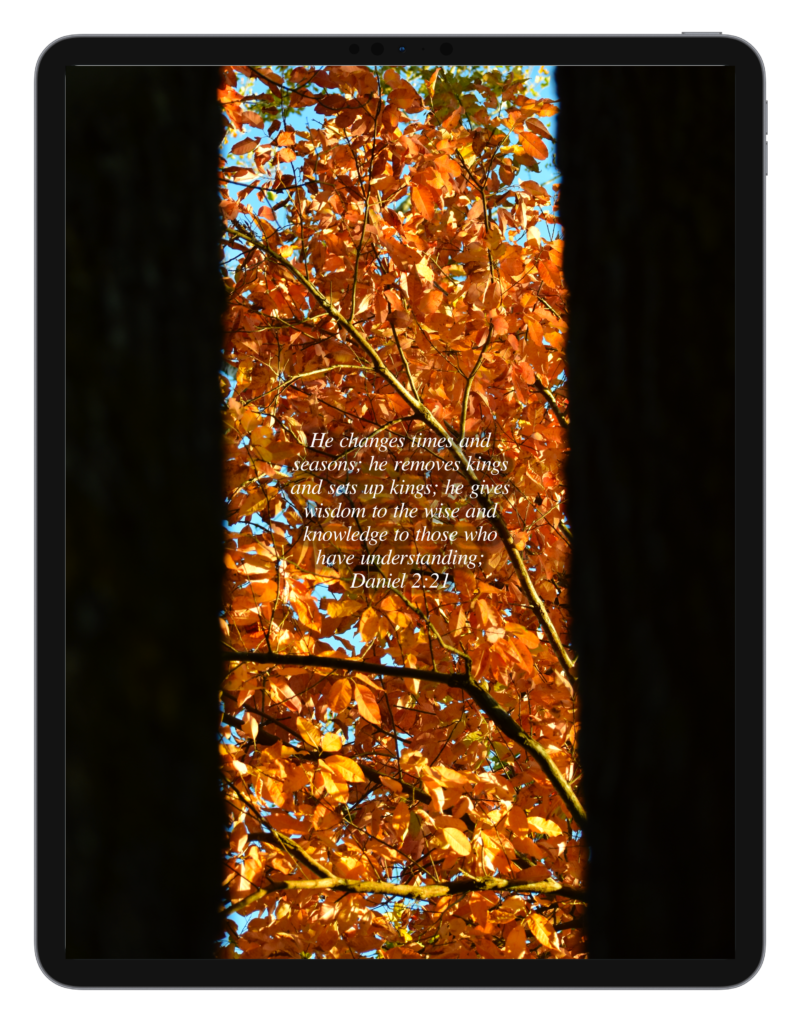 Daniel 2:21 by Biblical Wallpapers Daniel 2:21 by Biblical Wallpapers