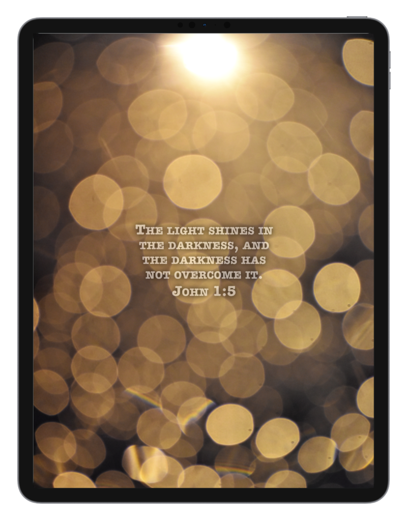 John 1:5 John 1:5