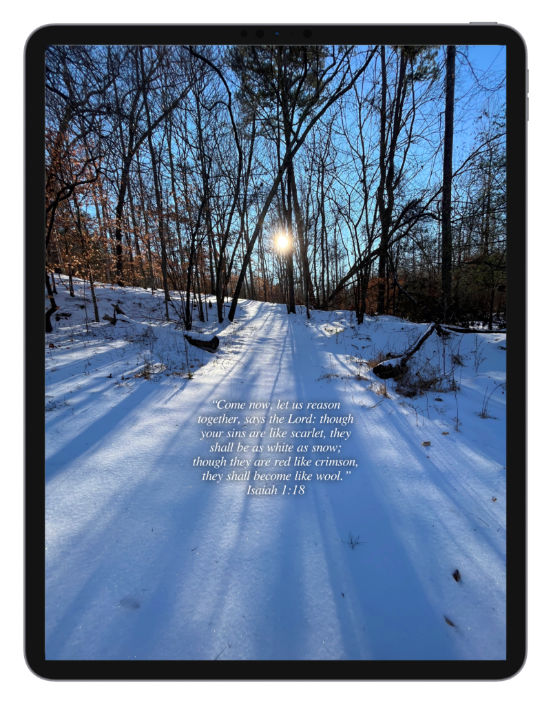 Luke 2:10-11 Isaiah 1:18