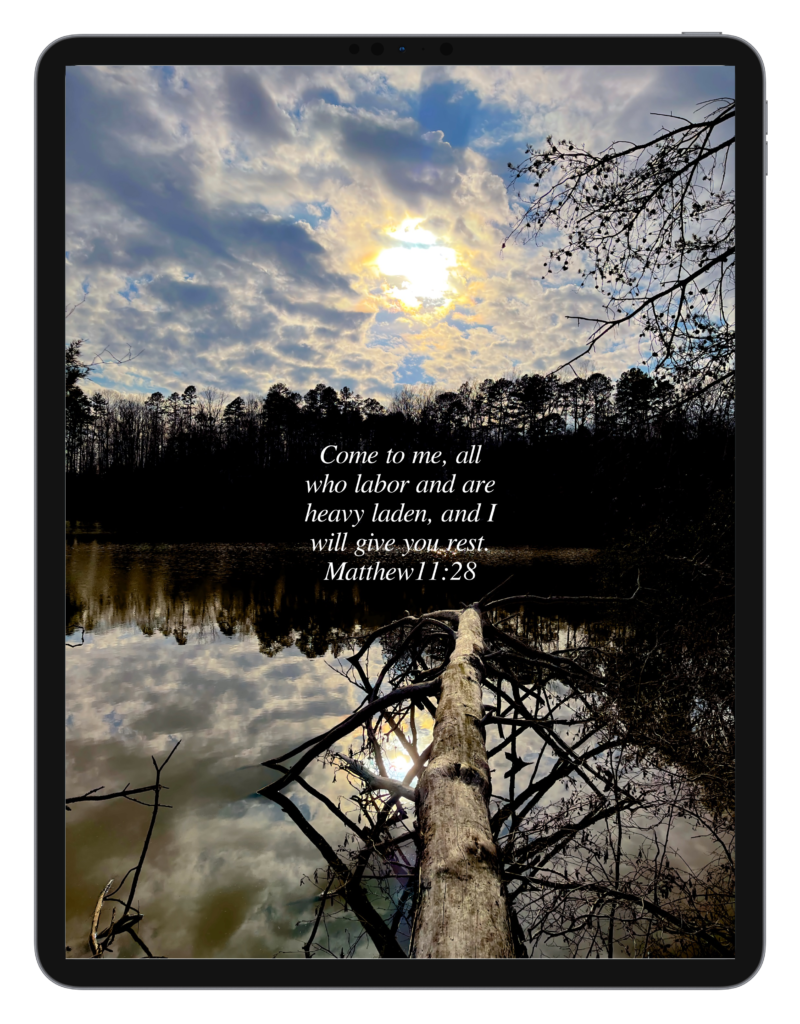Luke 2:10-11 Matthew 11:28