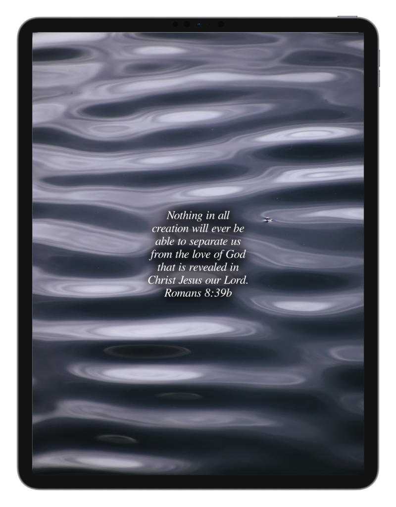Luke 2:10-11 Romans 8:39b