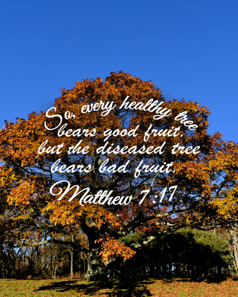 Matthew 7:17