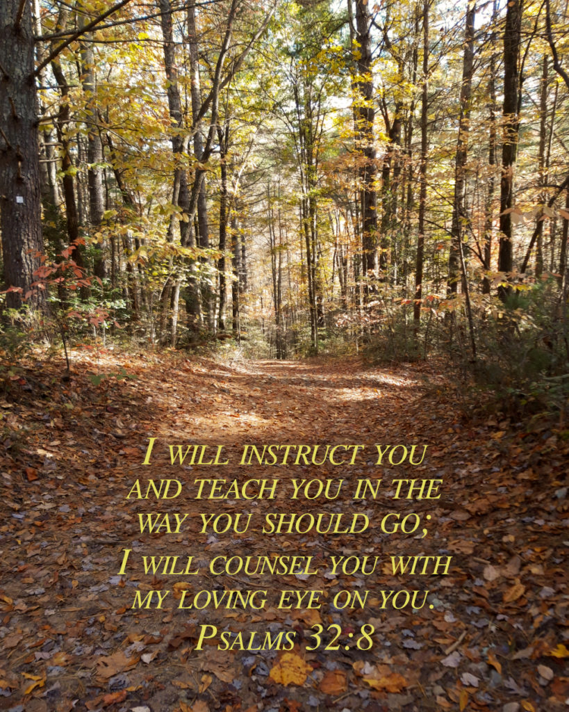 Psalms 32:8