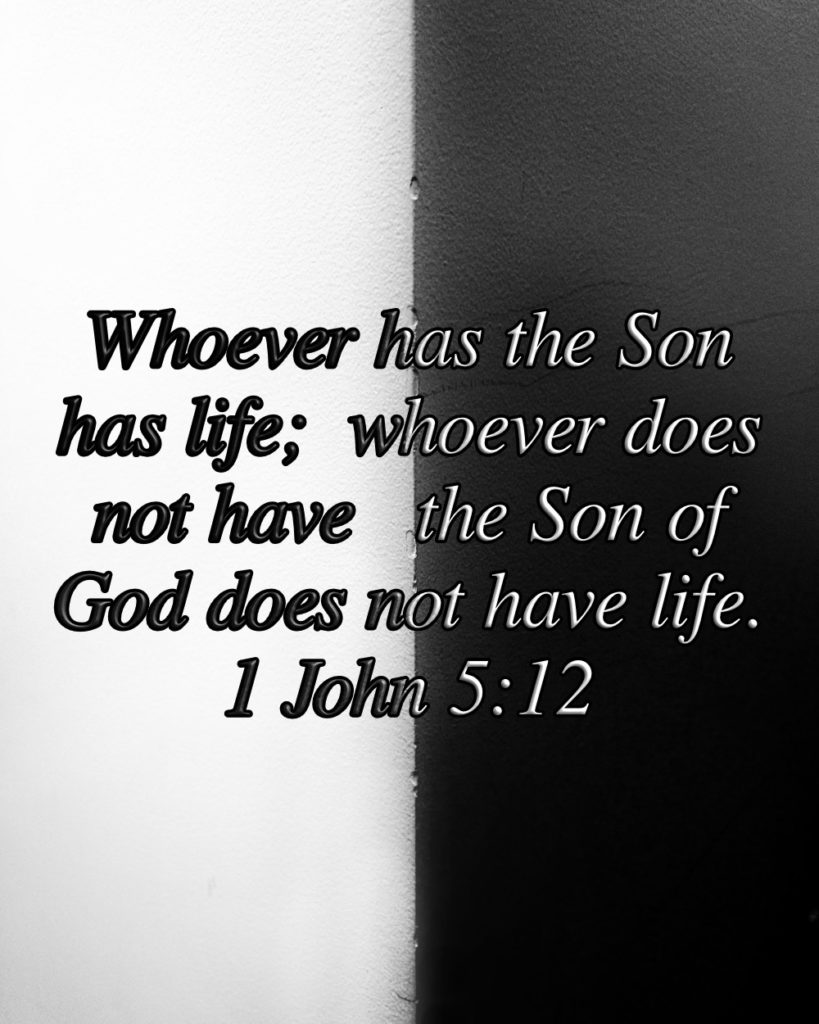 1 John 5:12