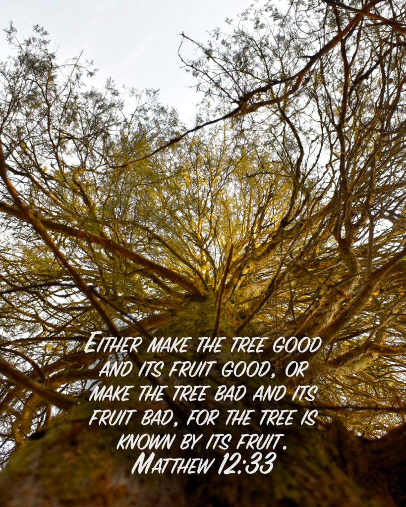 Matthew 12:33