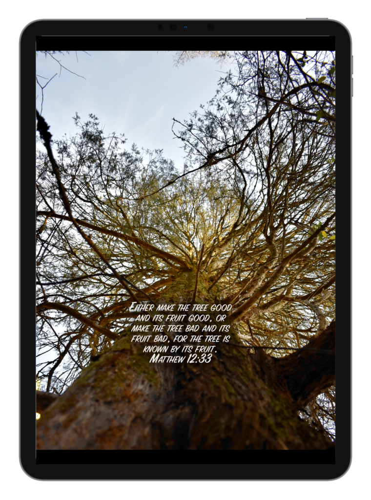 Luke 2:10-11 Matthew 12:33