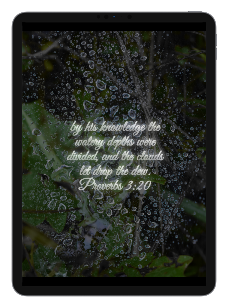 Luke 2:10-11 Proverbs 3:20