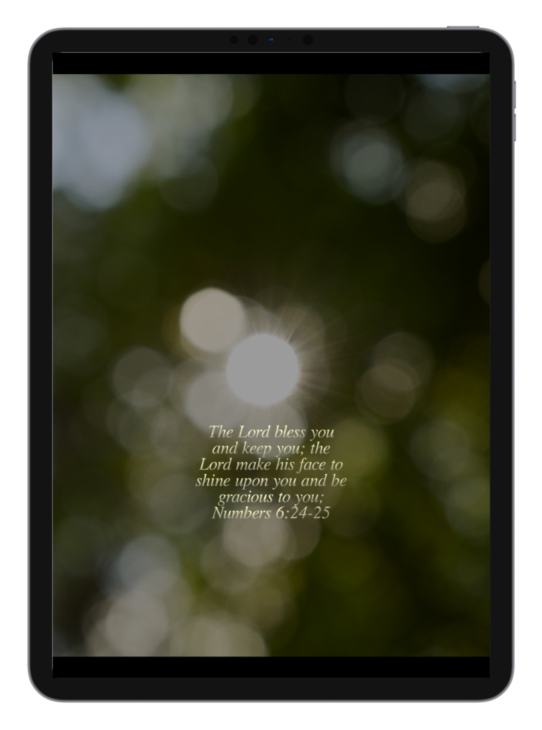 Luke 2:10-11 Numbers 6:24-25