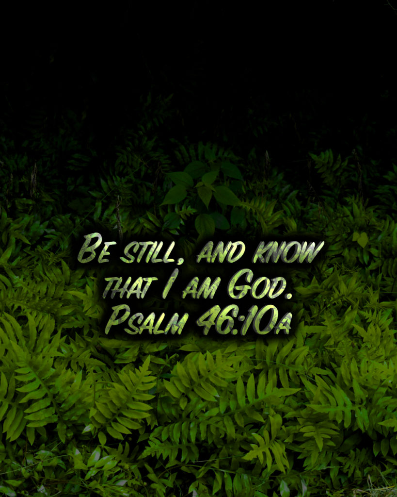 Psalms 46:10a