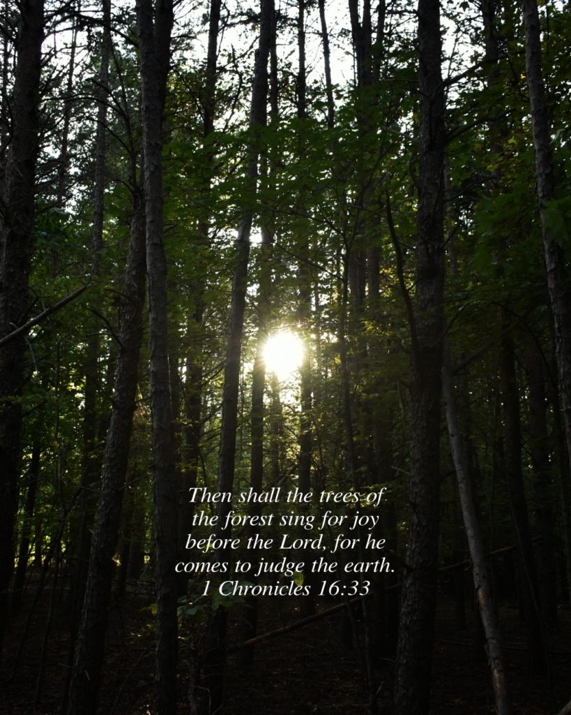 1 Chronicle 16:33