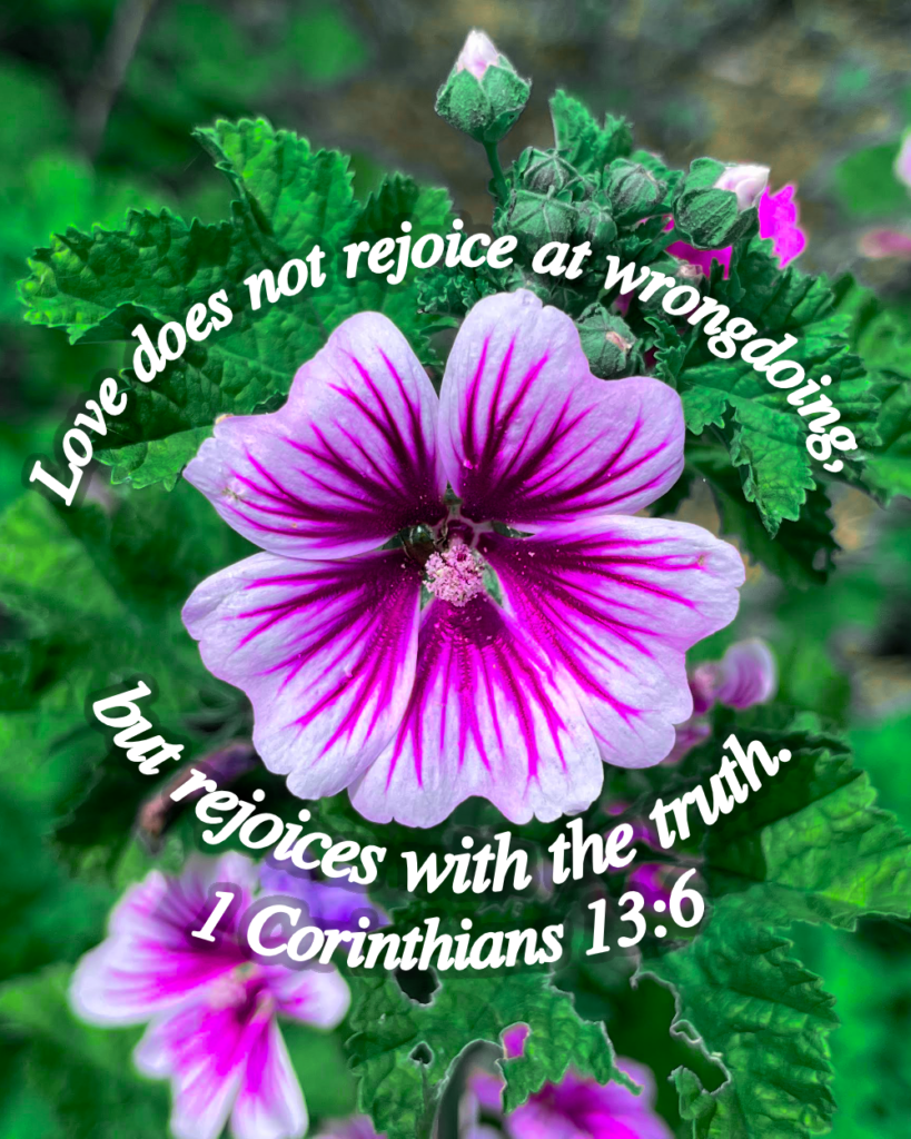1 Corinthians 13:6
