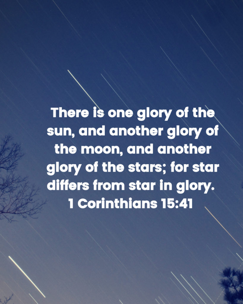 1 Corinthians 15 41