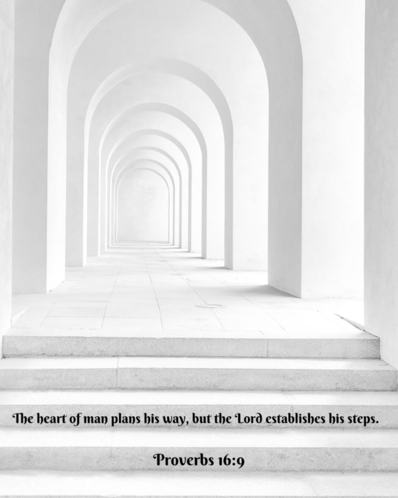 Proverbs 16:9
