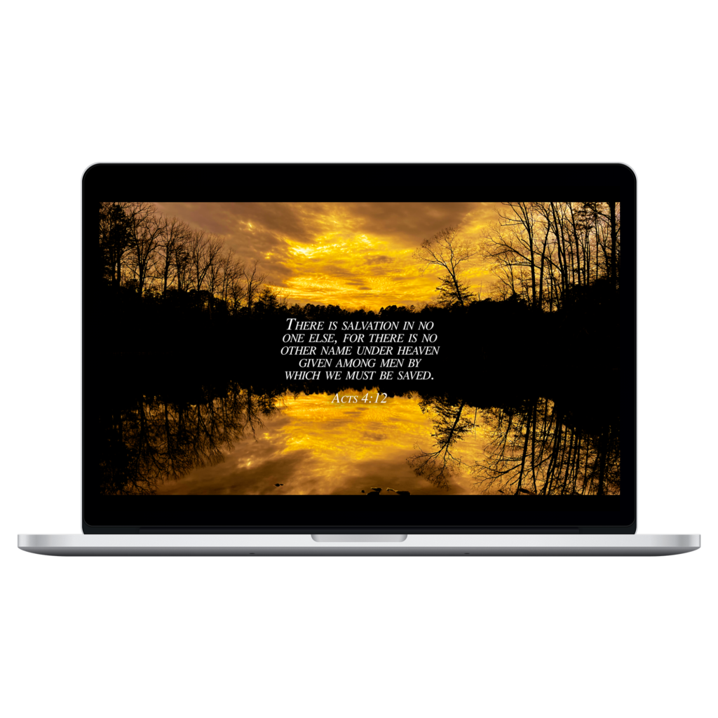 Luke 2:10-11 Acts 4 12d macbookpro15 front