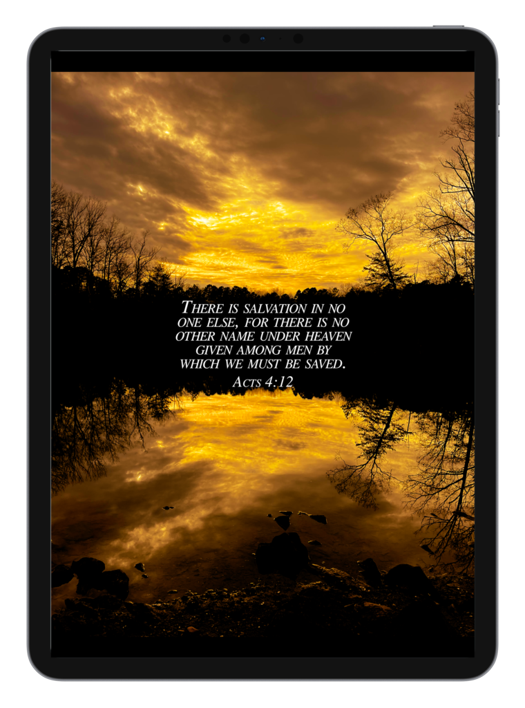 Luke 2:10-11 Acts 4:12