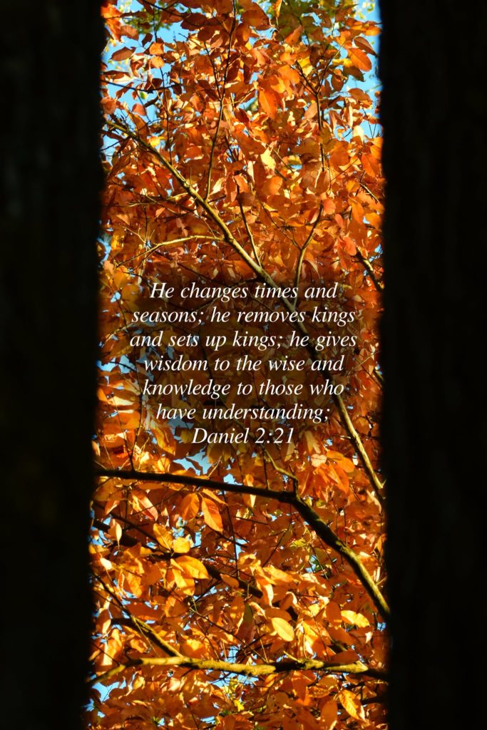 Daniel 2:21