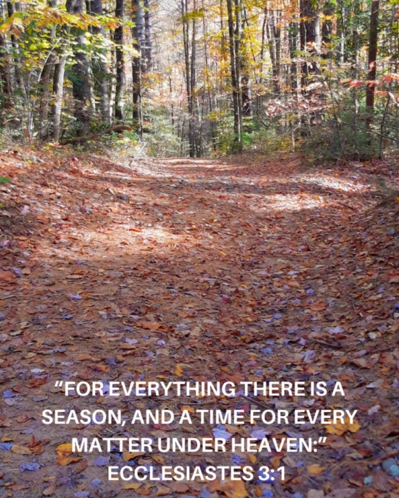 Ecclesiastes 3 1
