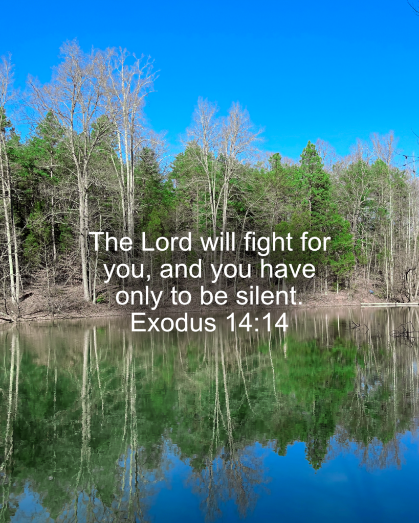 Exodus 14:14