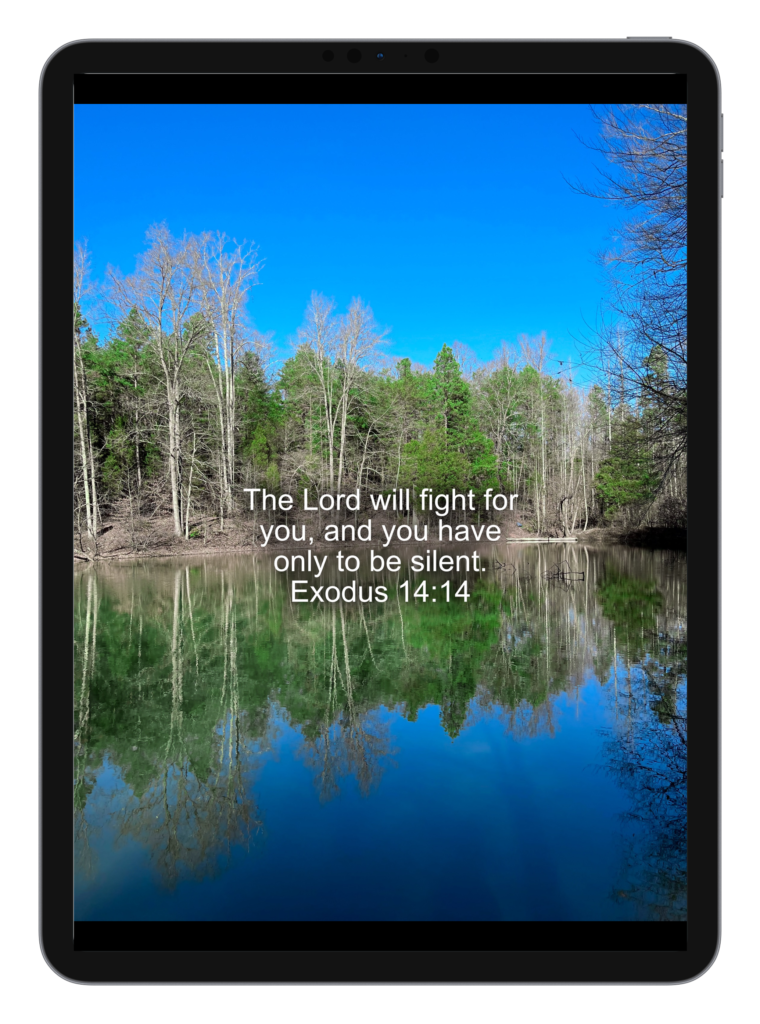 Luke 2:10-11 Exodus 14:14