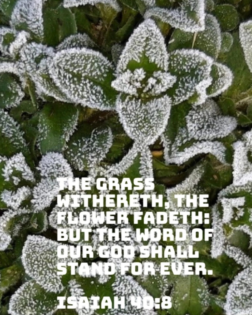 Isaiah 40 8