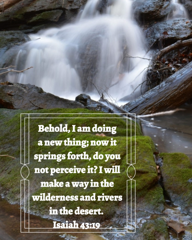 Isaiah 43 19