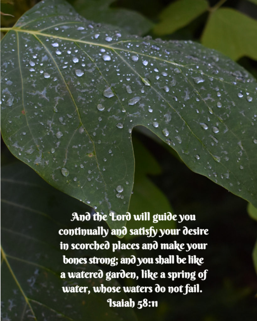 Isaiah 58 11