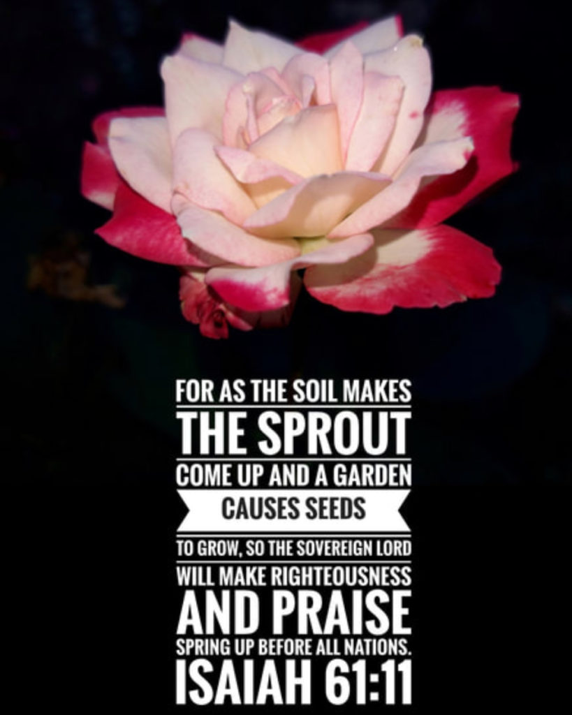 Isaiah 61 11
