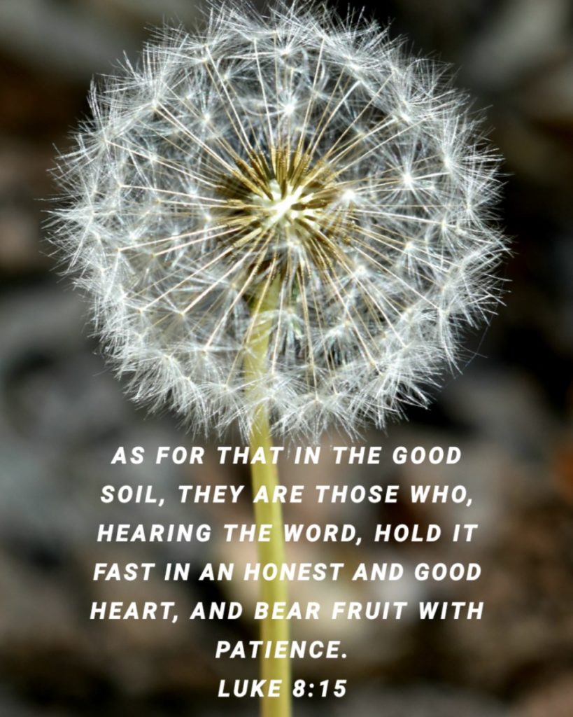 Luke 8 15