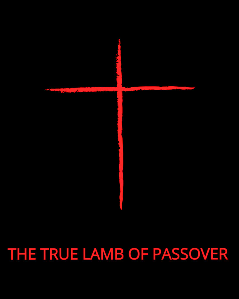 Passover Lamb