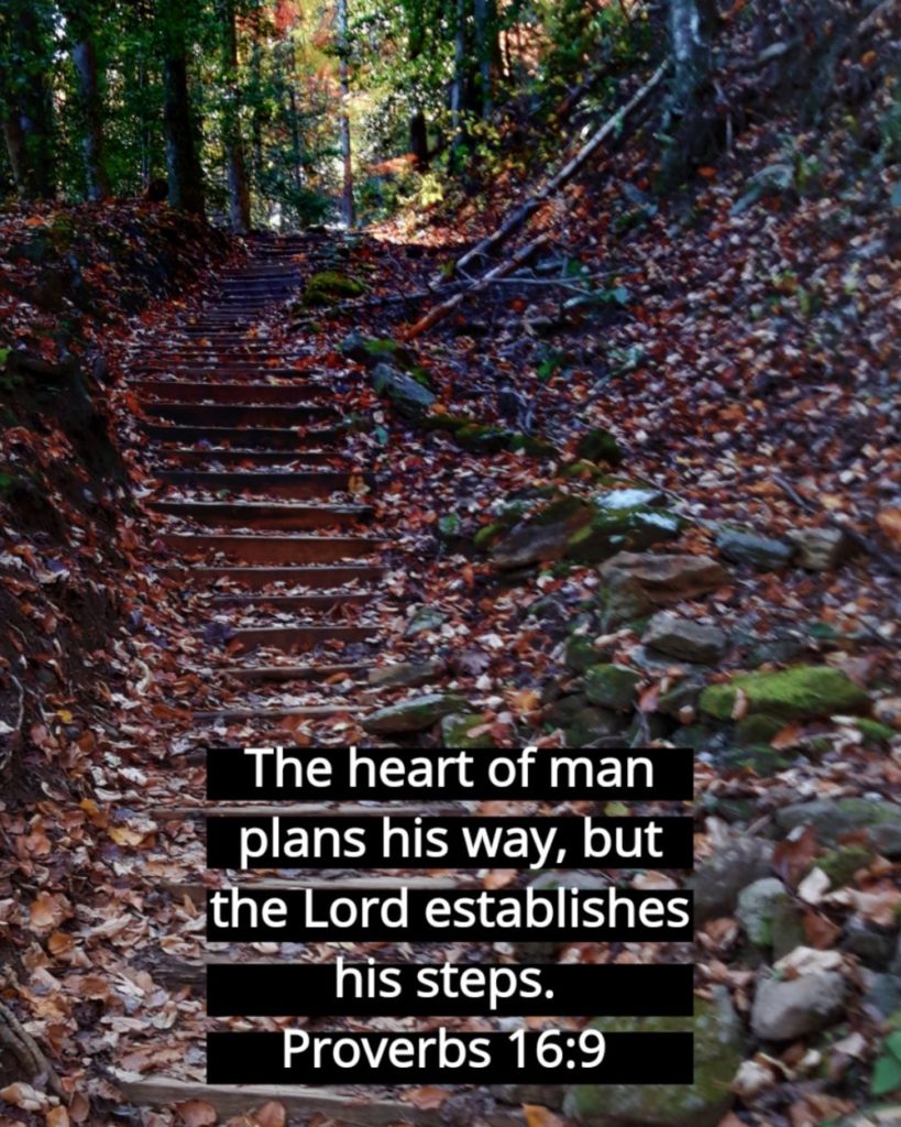 Proverbs 16 9