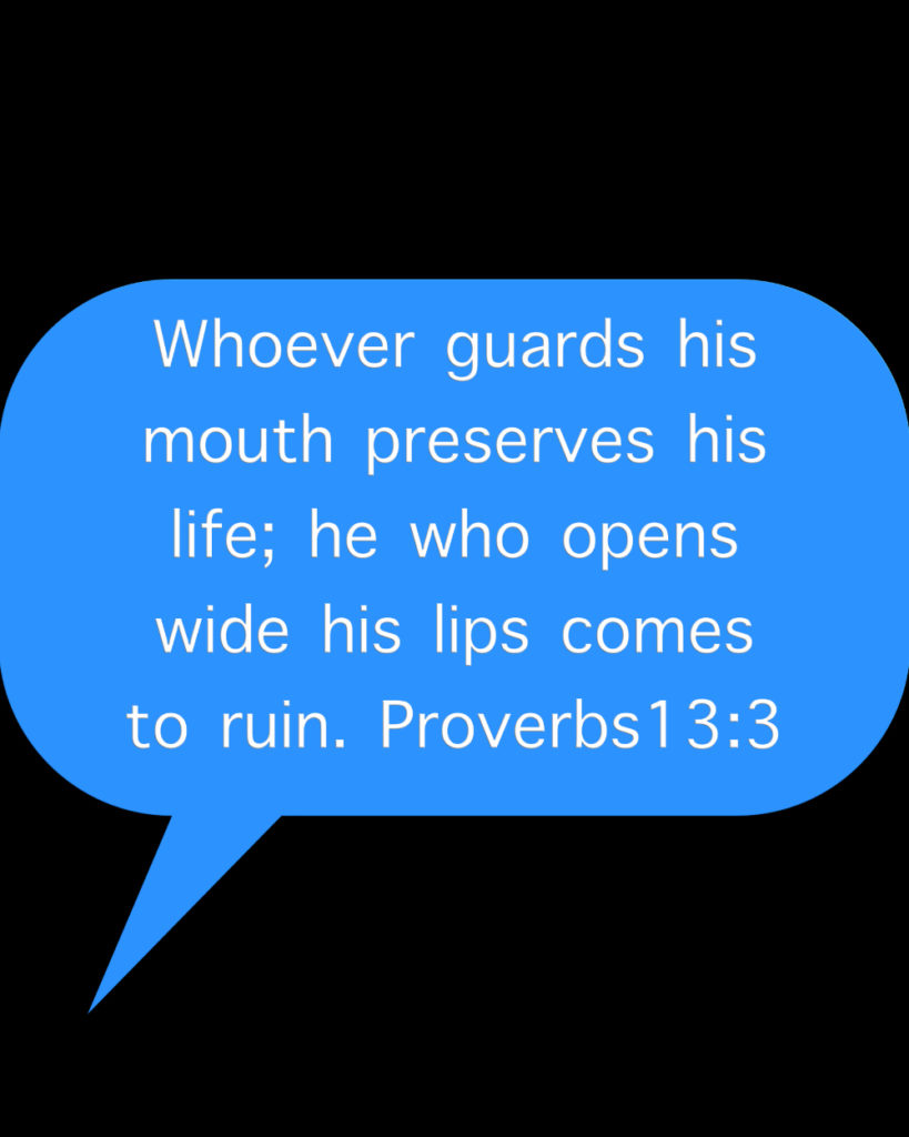 Proverbs 13:3