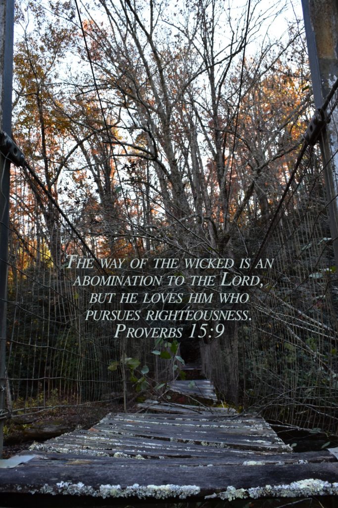 Proverbs15:9
