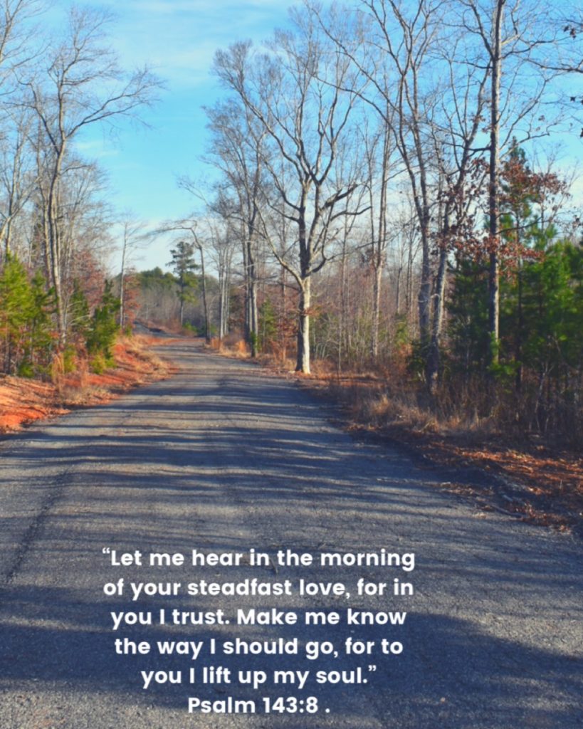 Psalms 143 8