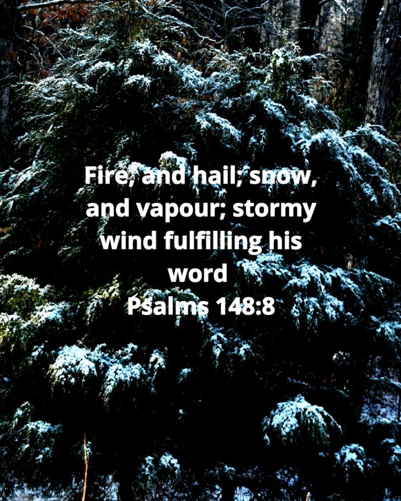 Psalms 148 8