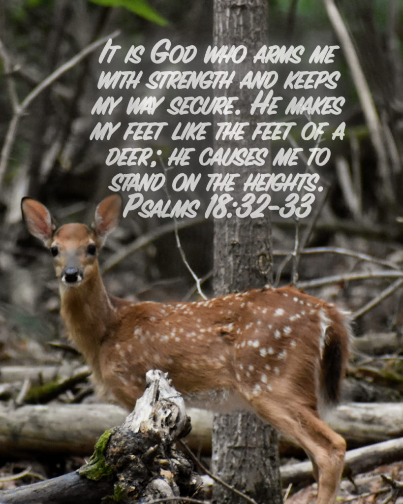 Psalms 18:32-33