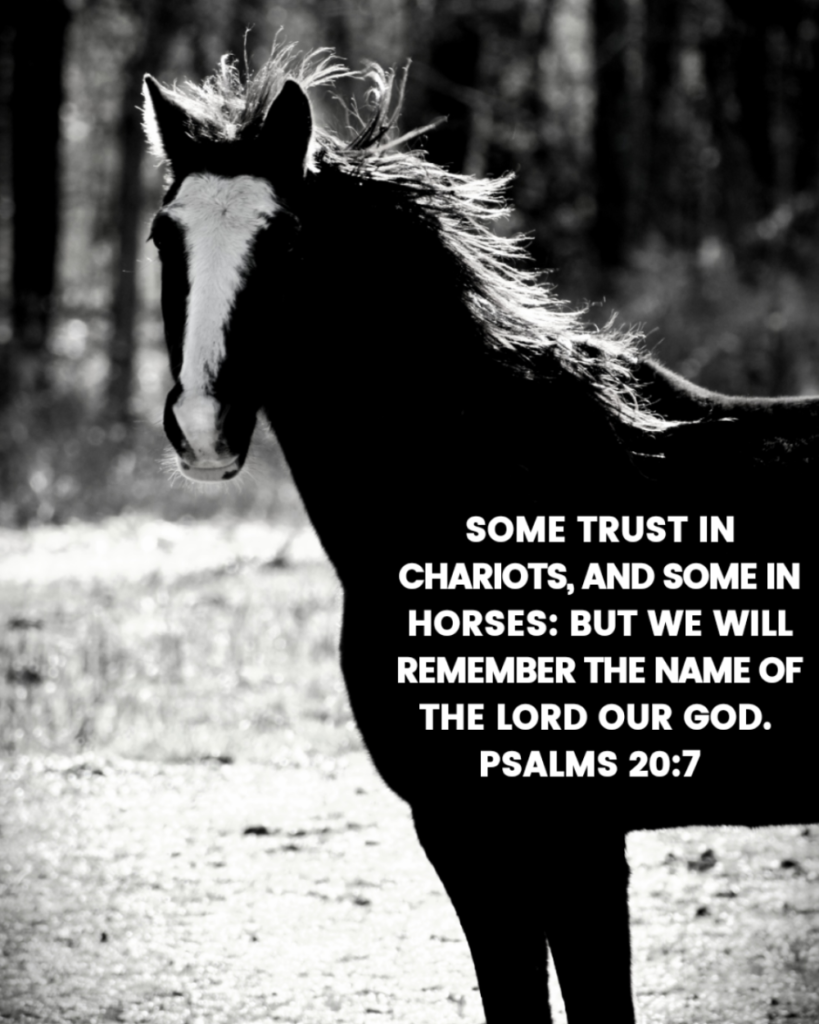 Psalms 20 7