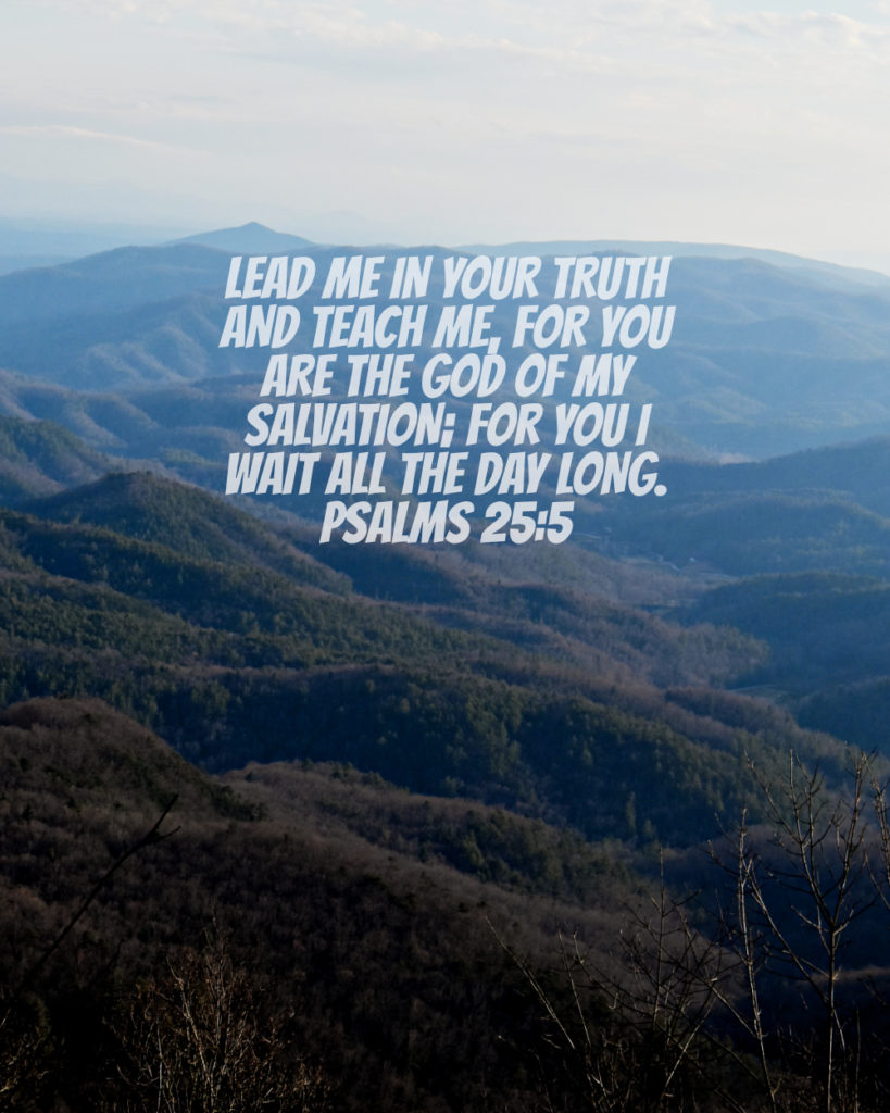 Psalms 25:5