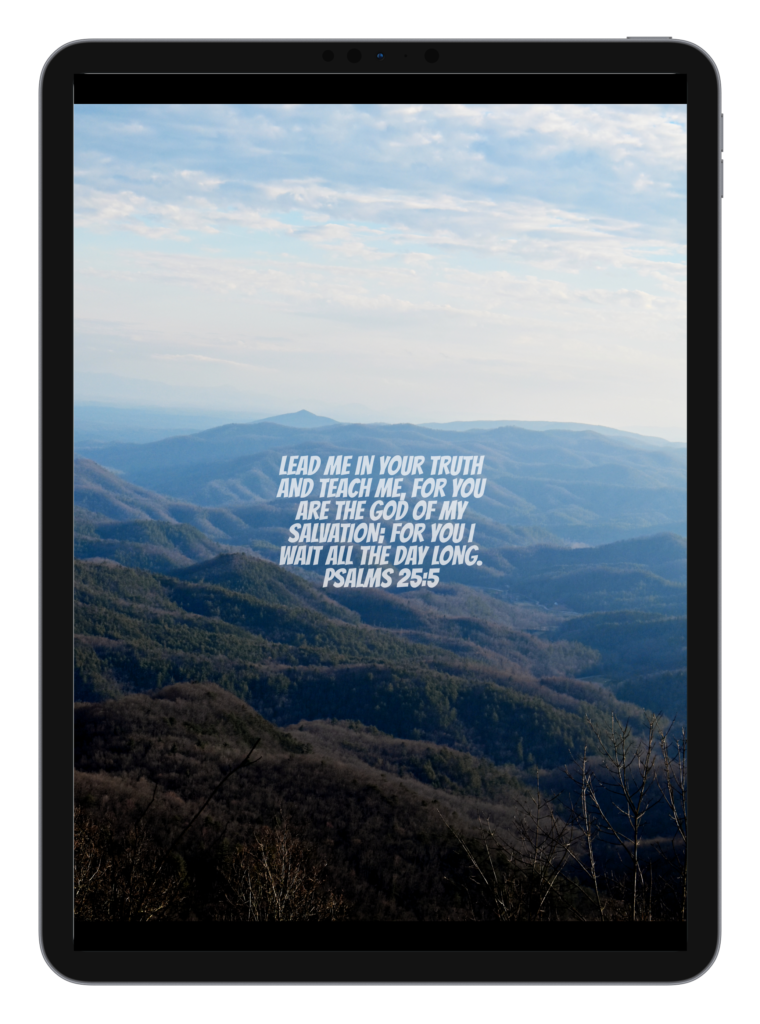 Luke 2:10-11 Psalms 25:5