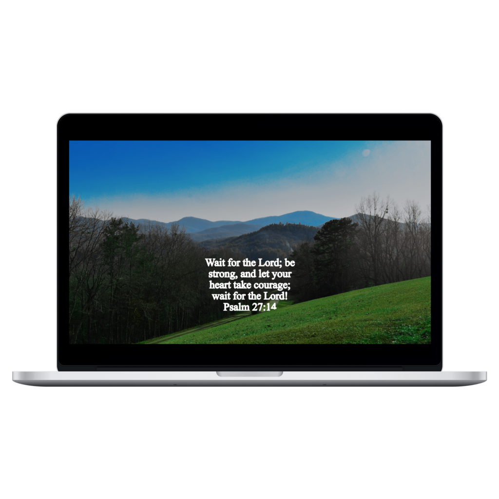 Luke 2:10-11 Psalms 27:14