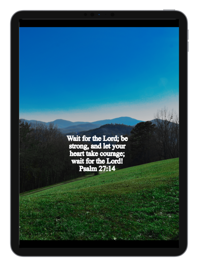 Luke 2:10-11 Psalms 27:14