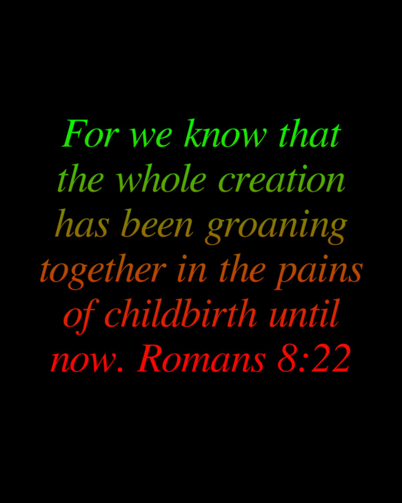 Romans 8:22