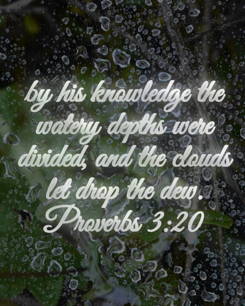 Proverbs 3:20