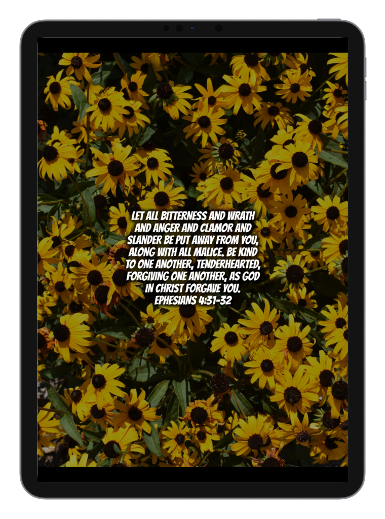 Luke 2:10-11 Ephesians 4:31-32