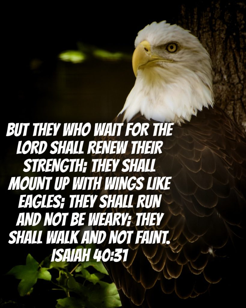Isaiah 40:31