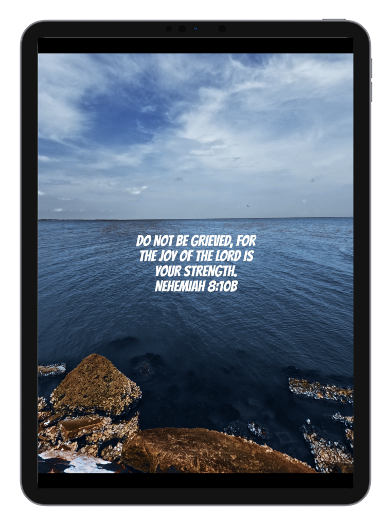 Luke 2:10-11 Nehemiah 8:10b