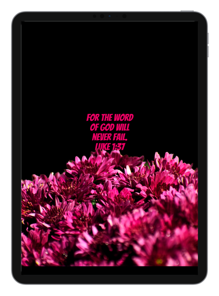 Luke 2:10-11 Luke 1:37