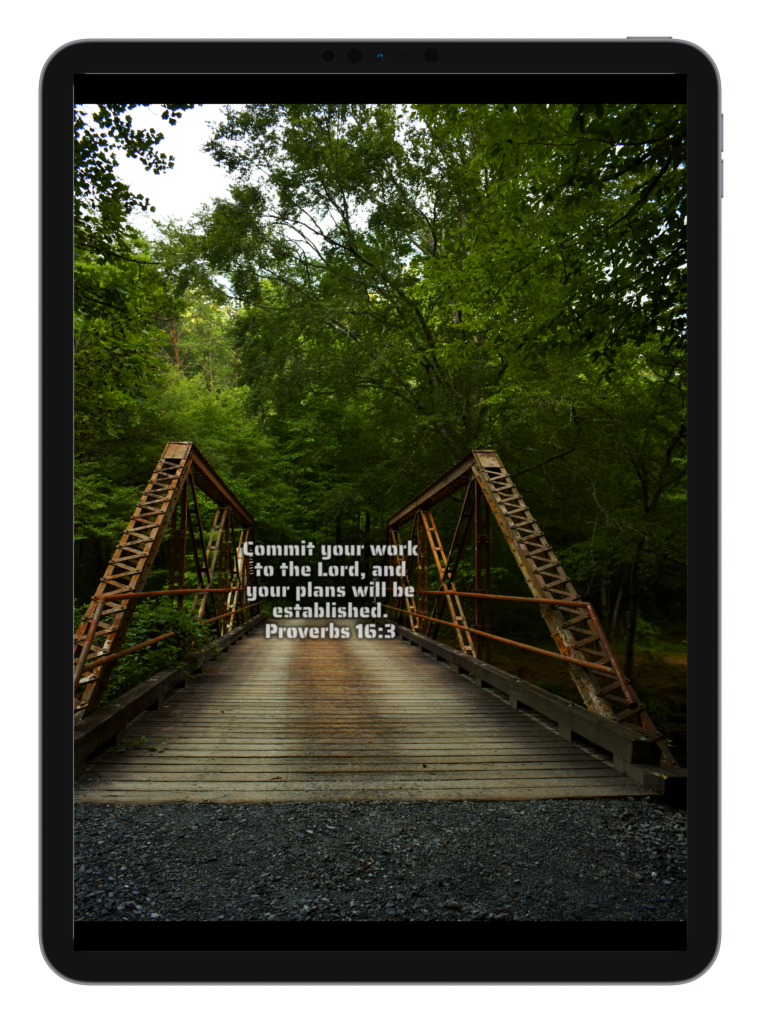 Luke 2:10-11 Proverbs 16:3